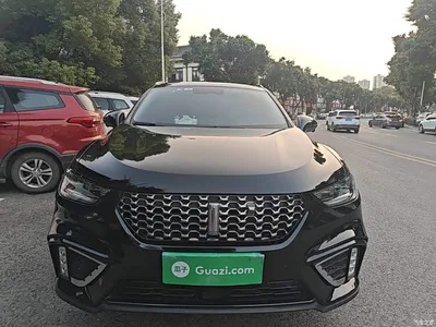 2021 WEY VV5 1.5T 2WD Smart Pioneer, фото 3, лот 11569493