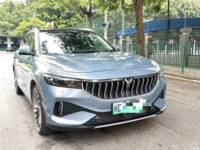 2021 Voyah Auto VOYAH FREE AWD Standard Extended Range Edition, фото 3, лот 10311338