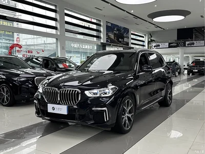 2022 BMW X5 Model xDrive 40Li M Sport Package, фото 1, лот 10599248
