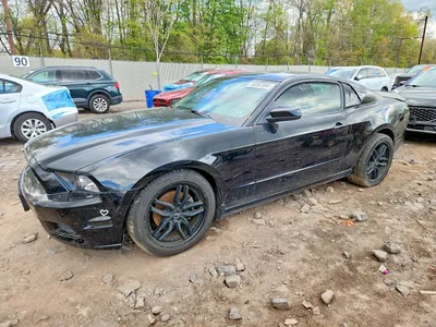 2014 FORD MUSTANG, фото 1, лот 10558296