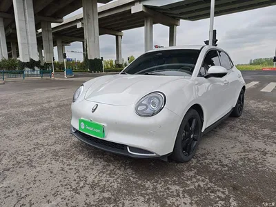 2024 Ora Good Cat 401km Honor 135kW, фото 1, лот 11179479