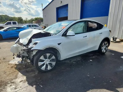 2024 TESLA MODEL Y, фото 1, лот 10855268