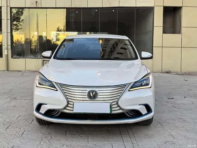 2019 Changan Eado New Energy EV460 Smart Enjoy Edition, фото 2, лот 10274371