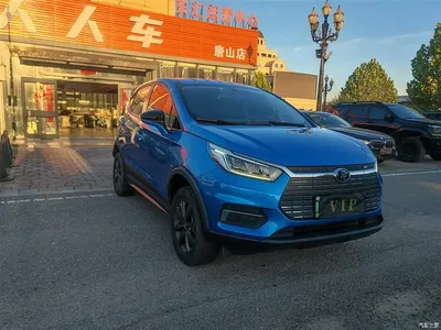 2019 BYD Yuan New Energy EV535 Smart Connected Trend Leader Type, фото 3, лот 10385401
