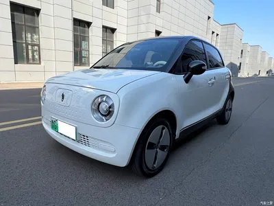 2021 Ora Black Cat 301km Basic Model, фото 1, лот 11073435
