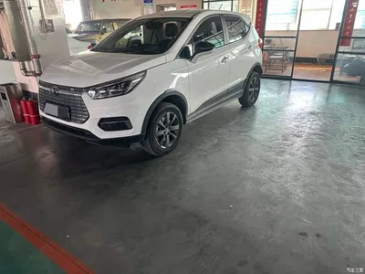 2019 BYD Yuan New Energy EV535 Smart Connection Leading Type, фото 1, лот 10400710