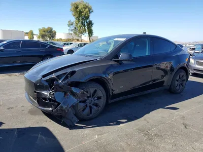 2024 TESLA MODEL Y, фото 1, лот 11317459