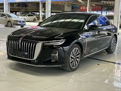2023 Hongqi H5 2.0T Auto Smart Connect Flag Comfort, фото 1, лот 11249113