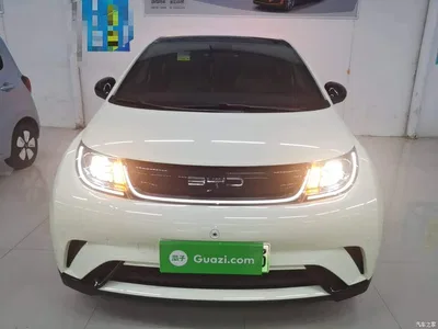2023 BYD Dolphin 420km Fashion Edition, фото 3, лот 11196835