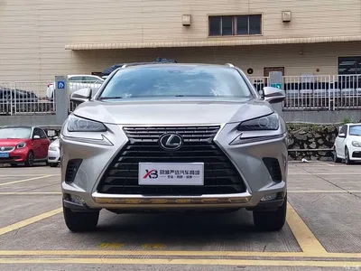 2020 Lexus NX 300h FWD F Sport China VI, фото 2, лот 10313097