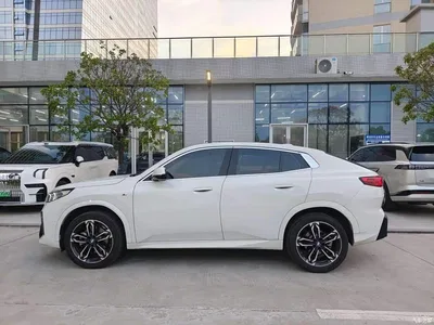 2024 BMW X2 (Import) sDrive25i M Sport Package, фото 3, лот 10381482
