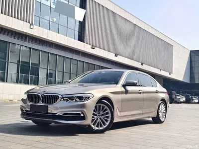 2020 BMW 5 Series 530Li Leading Luxury Package, фото 1, лот 11016403