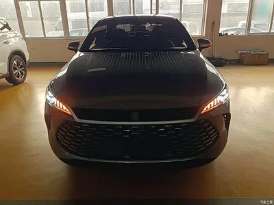 2025 BYD Qin PLUS DM-i Smart Drive 55KM Leader, фото 3, лот 11584324