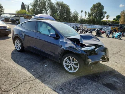 2020 TESLA MODEL Y, фото 4, лот 11234001