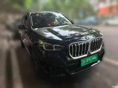 2025 BMW X1 sDrive25Li M Sport Package, фото 3, лот 10587489