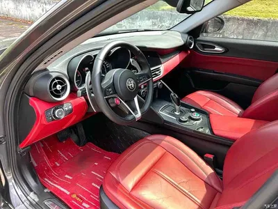 2019 Alfa Romeo Giulia 2.0T 280HP Black Package Limited Edition, фото 4, лот 10239809
