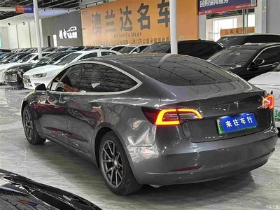 2020 Tesla Model 3 Standard Range Rear-Wheel Drive Upgrade, фото 4, лот 10364717