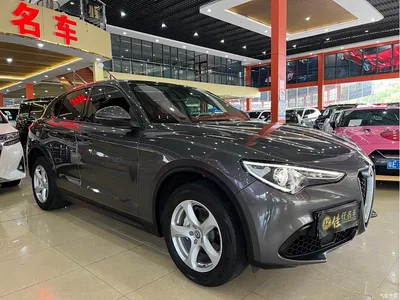 2017 Alfa Romeo Stelvio 2.0T 200HP Elite, фото 3, лот 10239829