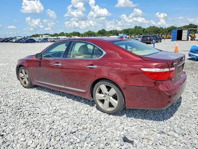 2007 LEXUS LS 460, фото 2, лот 10845173