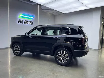 2024 Haval Big Dog 1.5T DCT Border Collie Edition, фото 4, лот 10887119