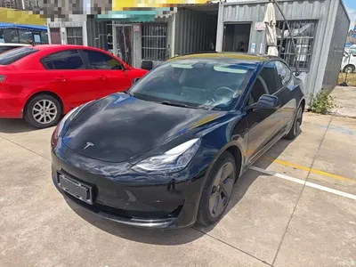2022 Tesla Model 3 Model Rear-Wheel Drive Version, фото 1, лот 10369686