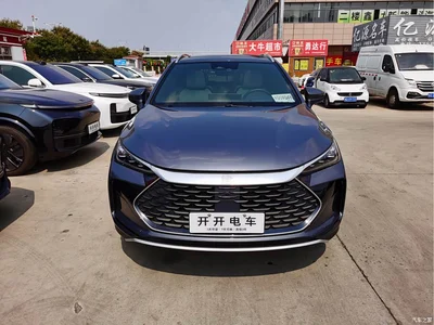2022 BYD Tang New Energy DM-p 215KM AWD Executive, фото 2, лот 10829394