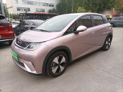 2023 BYD Dolphin 420km Freedom Edition, фото 2, лот 11196200