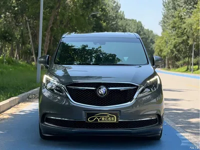2018 Buick GL8 ES 28T Flagship Type China VI, фото 2, лот 10249700