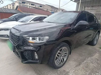2017 WEY VV5 2.0T Super Luxury Model, фото 1, лот 10452237