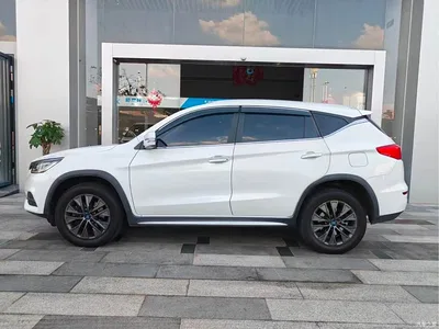 2019 BYD Song New Energy Song DM 1.5TID Smart Connection Premium Type, фото 3, лот 11408627