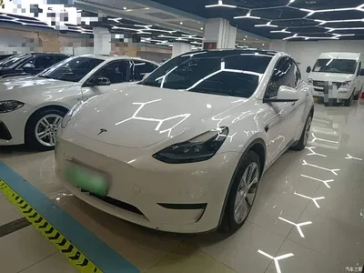 2022 Tesla Model Y Rear-Wheel Drive Version, фото 2, лот 11195609