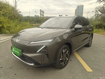 2024 Wuling Motors Wuling Xingguang S 130km Flagship Model, фото 1, лот 10833993