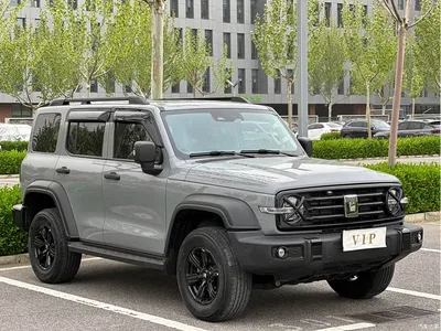 2023 Tank 300 Off-Road Edition 2.0T Conqueror, фото 3, лот 10344836