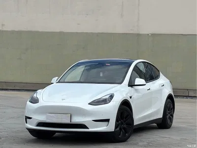 2023 Tesla Model Y Rear-Wheel Drive Edition, фото 1, лот 10392718