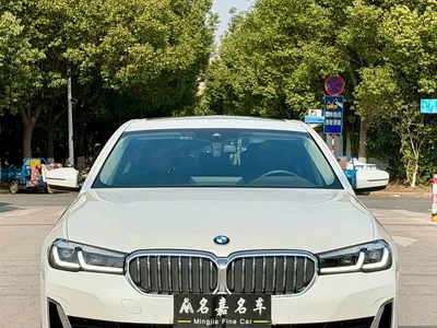 2021 BMW 5 Series 530Li Leading Luxury Package, фото 2, лот 10444072