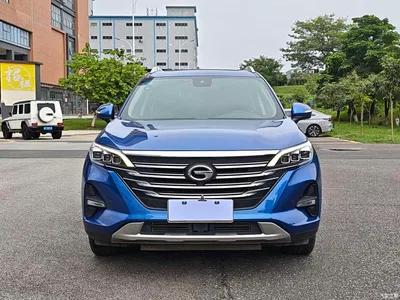 2019 GAC Trumpchi Trumpchi GS5 270T Automatic Premium Edition, фото 2, лот 10415274