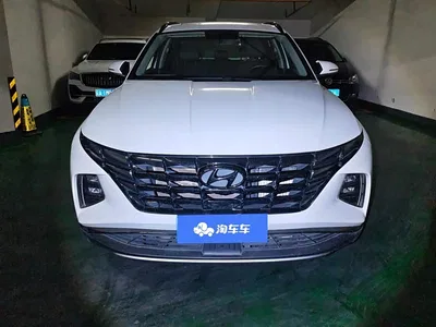 2023 Hyundai Tucson L 1.5T Automatic 2WD LUX Premium Edition, фото 2, лот 10453282