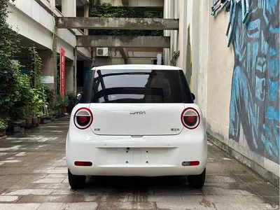 2024 Changan Qiyuan Changan Lumin 301km Voyage Edition, фото 4, лот 10407858