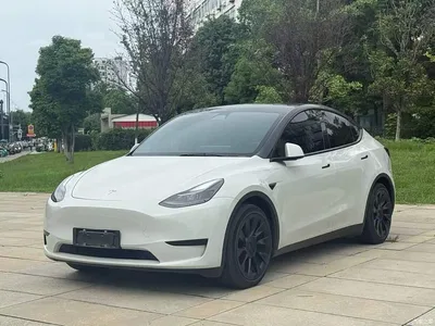 2022 Tesla Model Y Rear-Wheel Drive Version, фото 2, лот 10389816