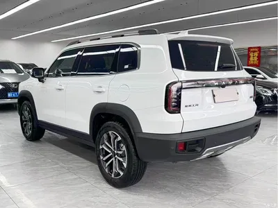 2024 Haval Big Dog 1.5T DCT Border Collie Edition, фото 4, лот 11062292