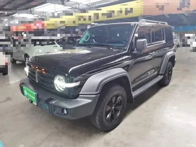 2021 Tank 300 Off-road Version 2.0T Conqueror, фото 1, лот 10388998