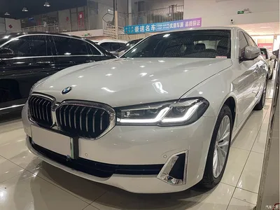 2021 BMW 5 Series New Energy 535Le Luxury Package, фото 1, лот 10474087