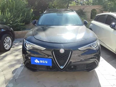 2017 Alfa Romeo Stelvio 2.0T 280HP Luxury, фото 2, лот 10239823