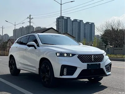 2020 WEY VV7 Model 2.0T Flagship, фото 2, лот 10444323