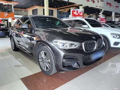 2019 BMW X4 xDrive25i M Sport Package, фото 4, лот 10476903