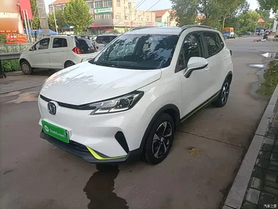 2020 Changan New Energy E-Pro Ultimate Power Edition, фото 1, лот 11172034