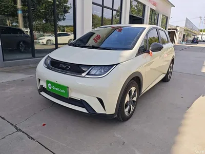 2025 BYD Dolphin 420km Freedom Edition, фото 1, лот 11539994