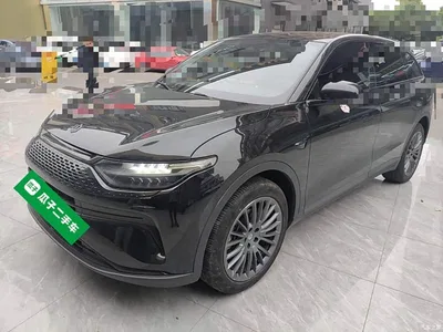 2023 Leapmotor C11 Extended Range 200 Comfort Edition, фото 1, лот 11189776