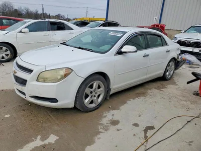 2010 CHEVROLET MALIBU LS, фото 1, лот 10724090
