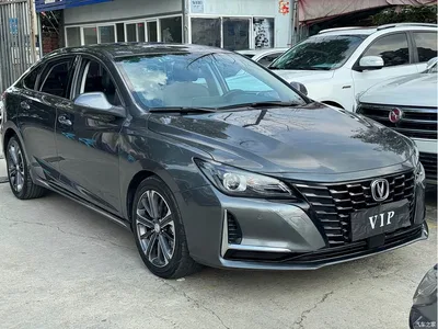 2022 Changan Ruicheng CC Blue Whale Edition 1.5T DCT Premium, фото 3, лот 10273954